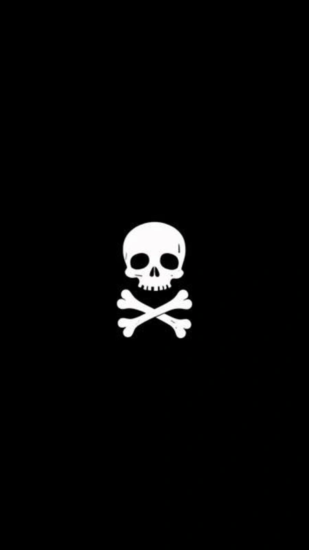 Mini Skull Crossbones Wallpaper
