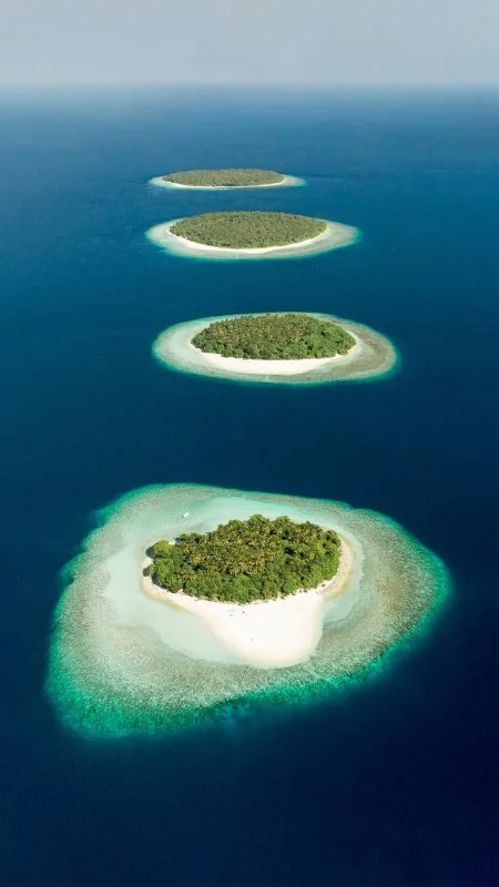 Ahmed Yaaniu Nature Wallpaper