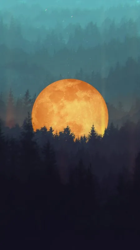 Nature Art Night Painting Tree Wallpaper