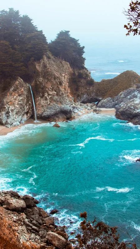 Beach Nature Phone Wallpaper