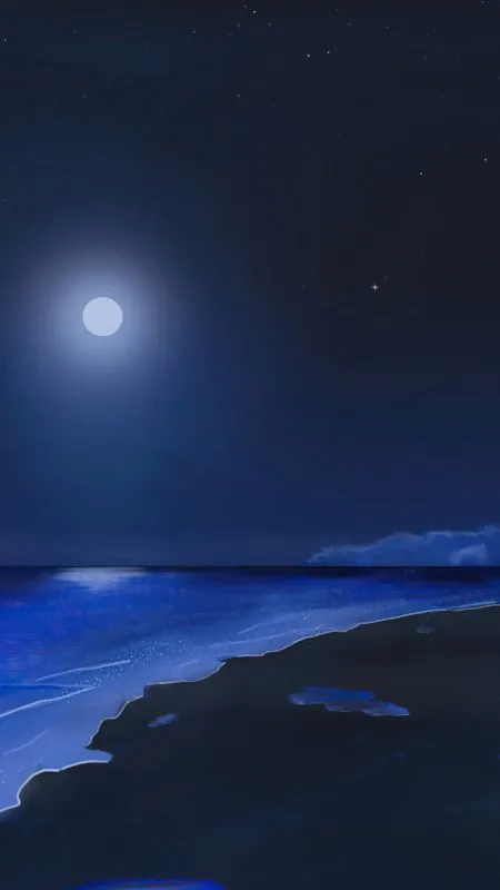 Nature Beach Shooting Stars Moonlight Wallpaper