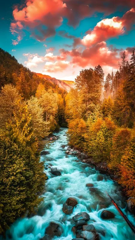 Beautiful Nature Wallpaper