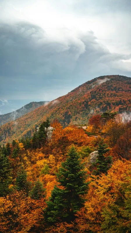 Beautiful Nature HD Wallpaper
