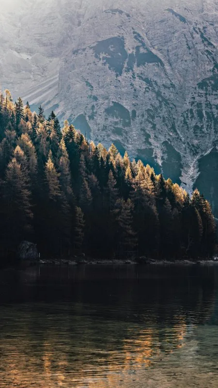 Beautiful Nature Phone Wallpaper