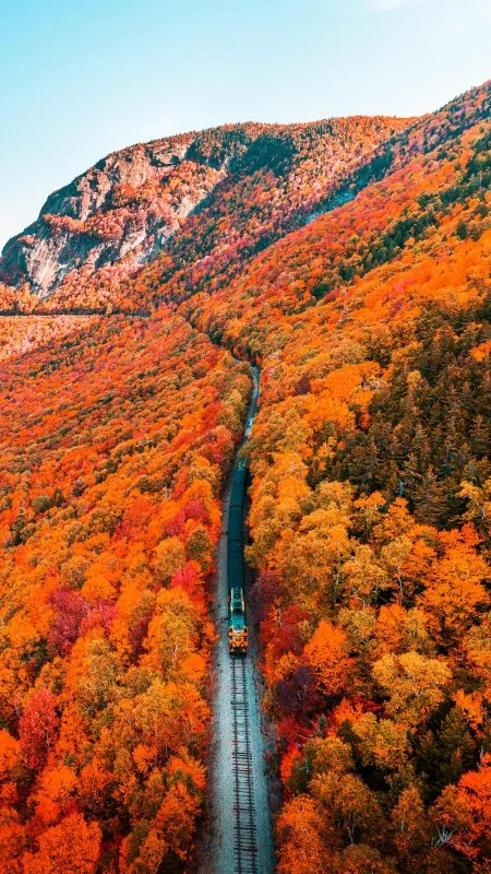 Beautiful Nature Phone Wallpaper