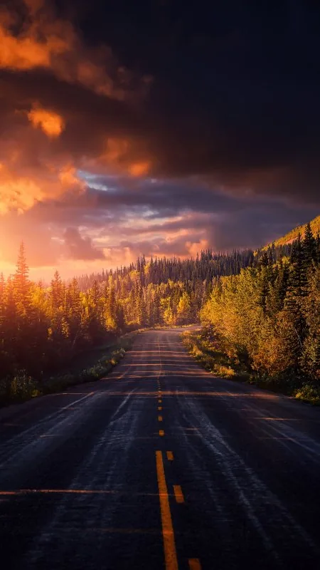 Beautiful Nature Phone Wallpaper