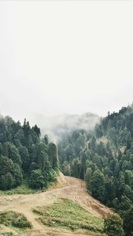 Beautiful Nature HD Wallpaper
