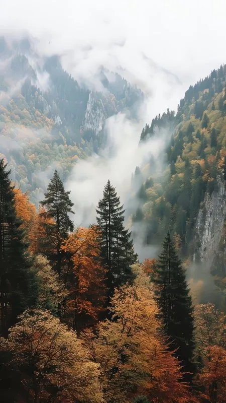Beautiful Nature HD Wallpaper