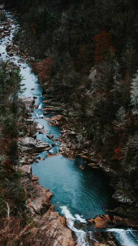 Beautiful Nature Phone Wallpaper