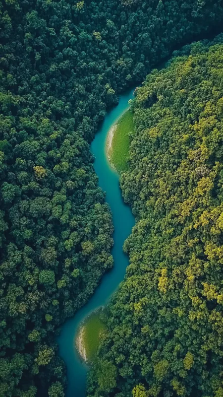 Beautiful Nature Wallpaper