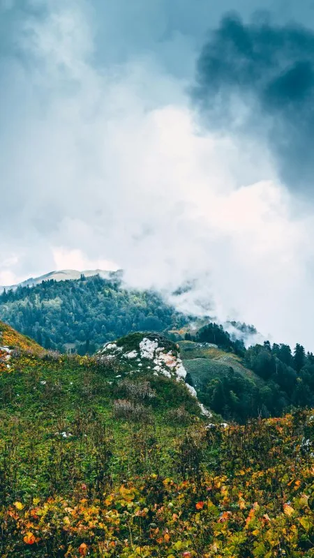 Beautiful Nature HD Wallpaper