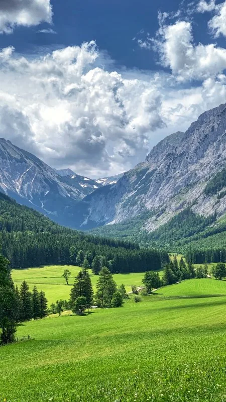 Beautiful Nature Phone Wallpaper