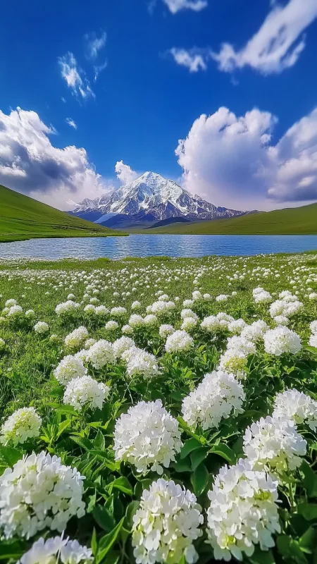 Beautiful Nature HD Wallpaper