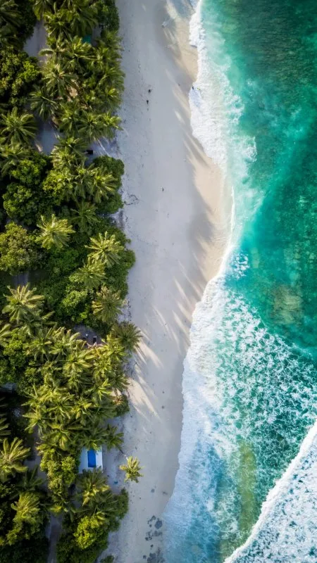 Beautiful Beach HD Nature Wallpaper