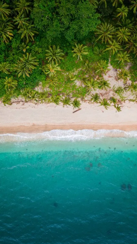 Nature Beautiful Beach Wallpaper