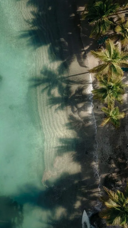 Beautiful Beach Nature Wallpaper