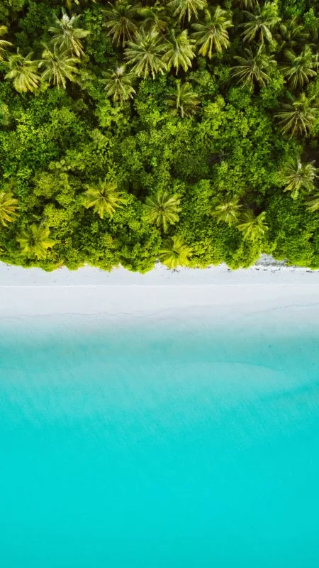 Beautiful Beach HD Nature Wallpaper