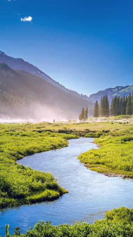Beautiful Greenery Landscape Nature Wallpaper