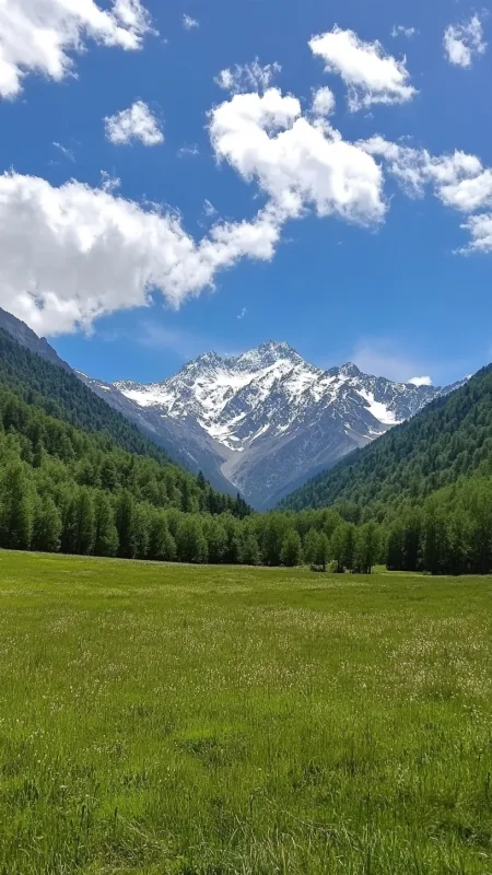 Beautiful Landscape Nature Wallpaper
