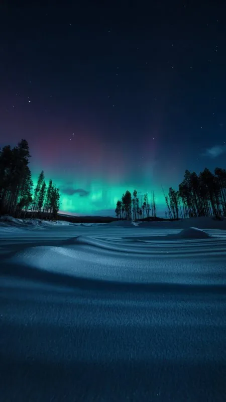 Chasing The Northern Lights Nature Wallpaper