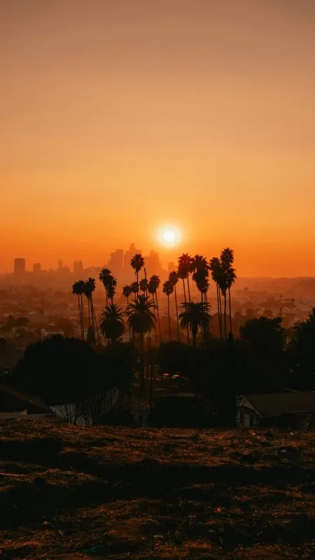 City Sunset Nature Wallpaper