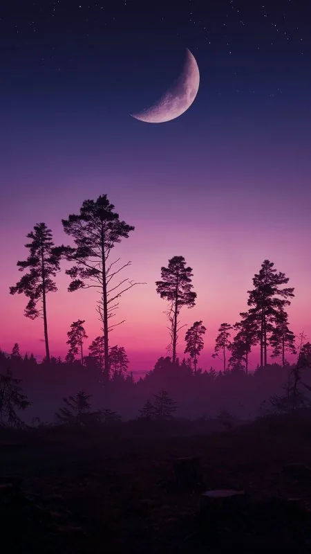 Ecoregion Moon Light HD Nature Wallpaper