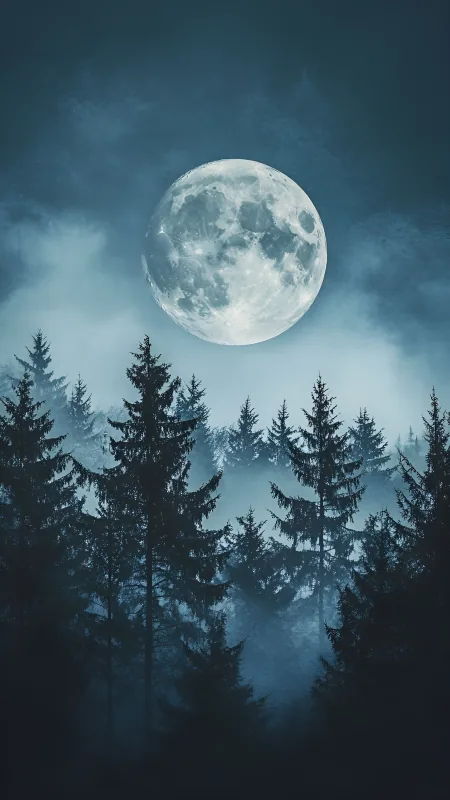 Nature Forest Trees Moon Fog Wallpaper