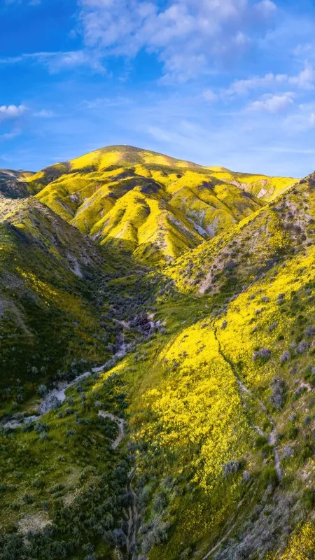 Nature Green Mountains Wallpaper
