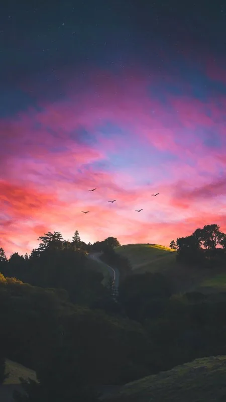 Horizons Of Nature Wallpaper