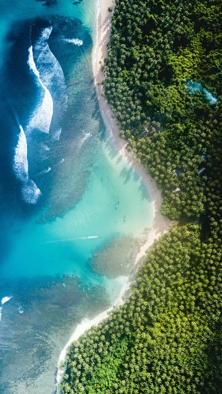 Nature James Donaldson Wallpaper