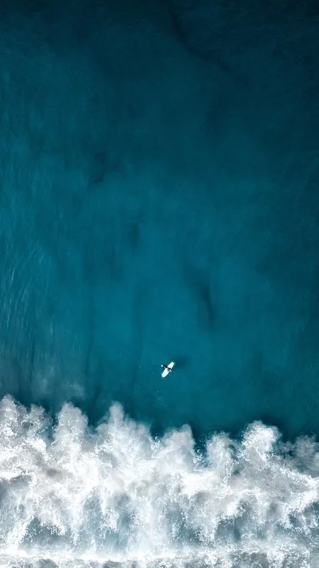 Nature Jeremy Bishop Wallpaper