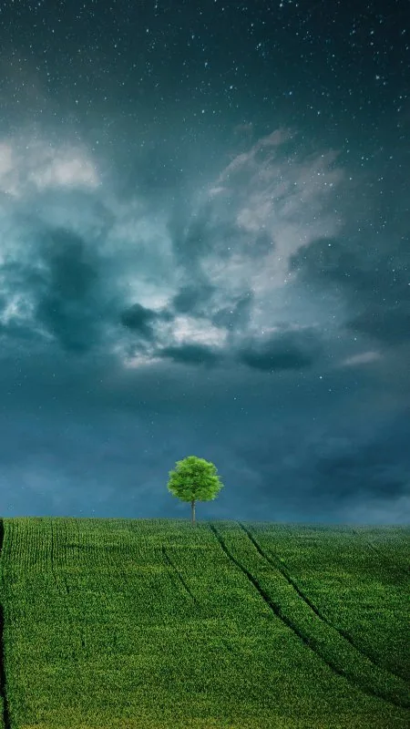 Landscape Lone Tree HD Nature Wallpaper