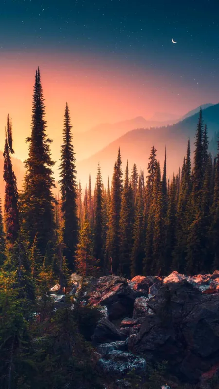 Nature Landscape Plant HD Wallpaper