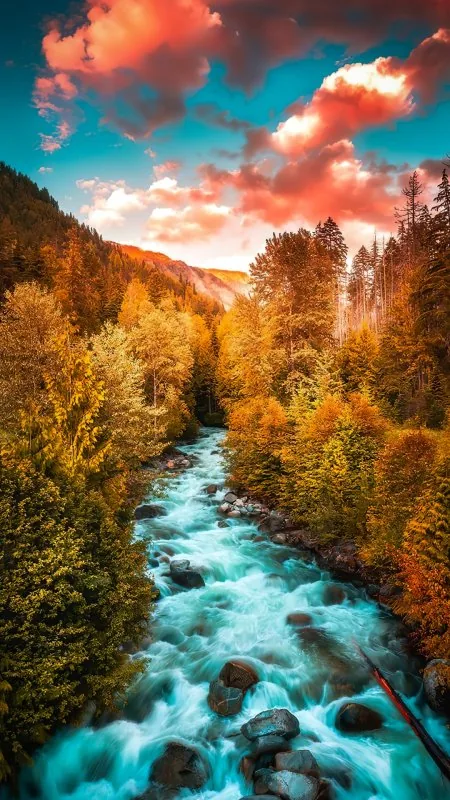Larch Cloud Water Blue Natural Landscape Nature Wallpaper