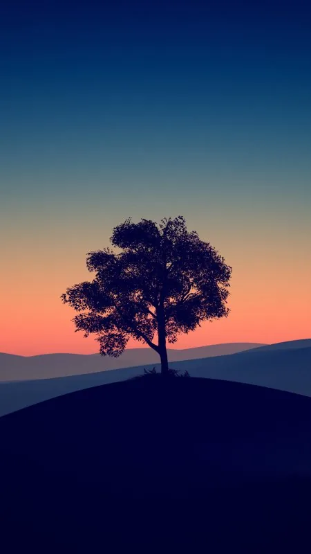 Lone Tree Dusk Silhouette Nature Wallpaper