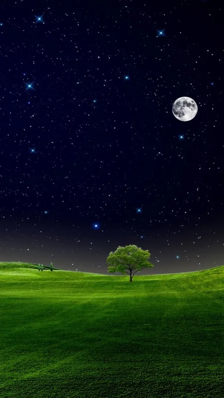 Lone Tree Moonlit Meadow Nature Wallpaper
