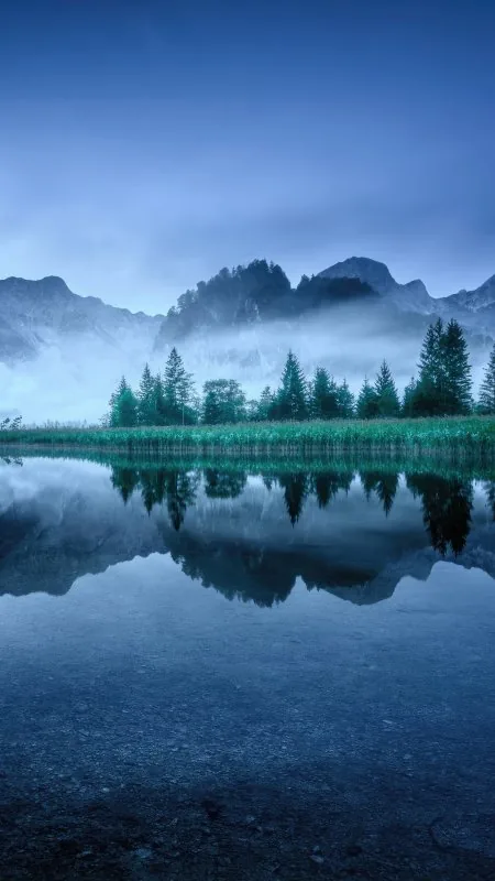 Misty Blue Lake Pines Nature Wallpaper