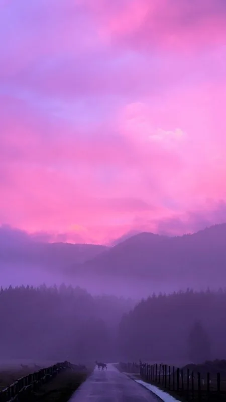 Misty Pink Sunset HD Nature Wallpaper