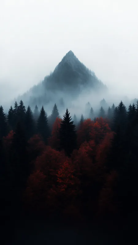 Nature Mountain Fog Wallpaper