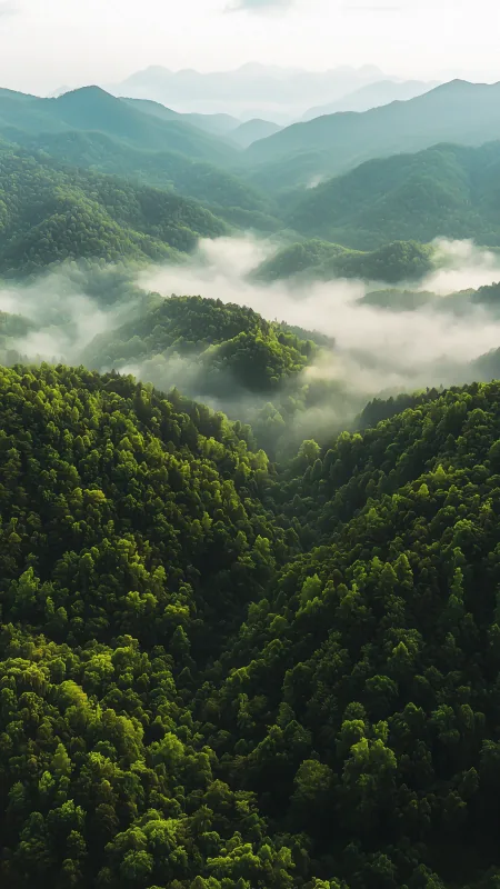 Mountain Landscape HD Nature Wallpaper