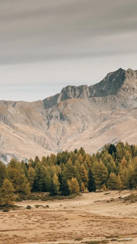 Mountain Landscape HD Nature Wallpaper