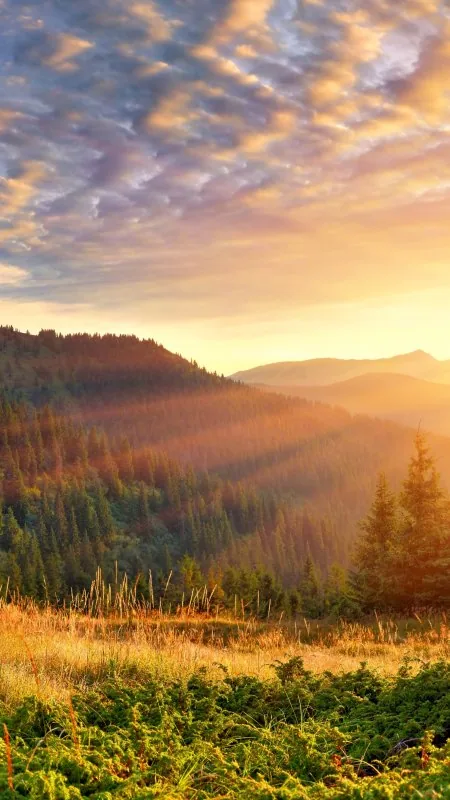 Nature Mountain Scenery Morning Sun Rays Wallpaper