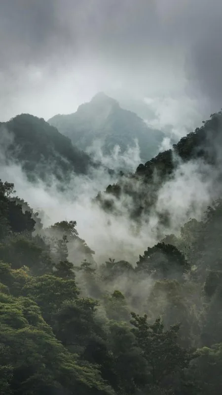 Mountain Smoke Nature Wallpaper