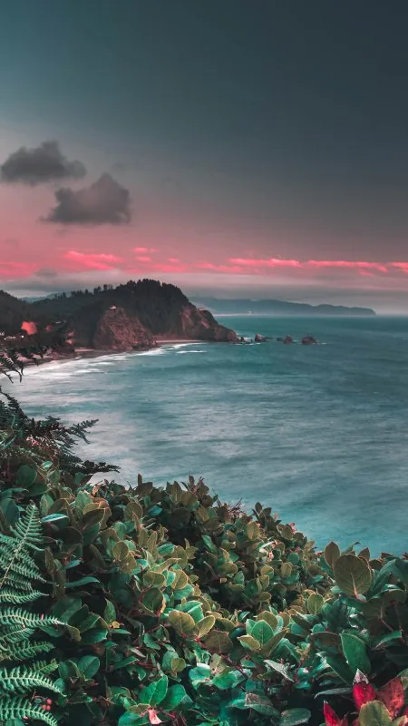 Pink Dusk Ocean Headland Nature Wallpaper