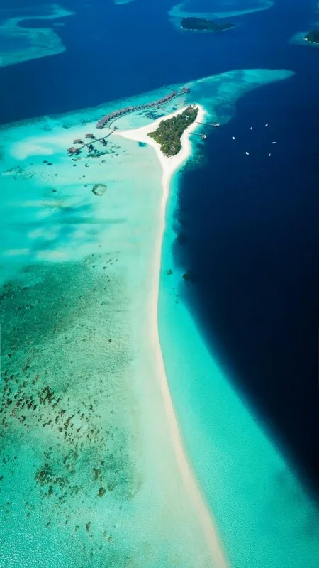 Sea Nature Wallpaper