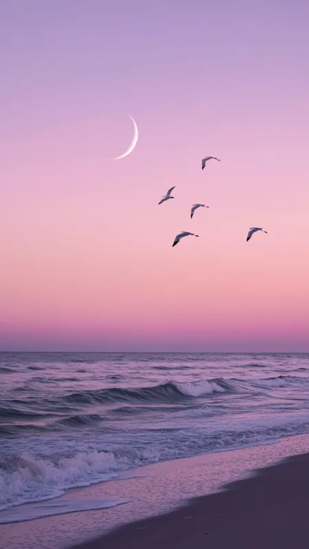 Sea Nature Wallpaper
