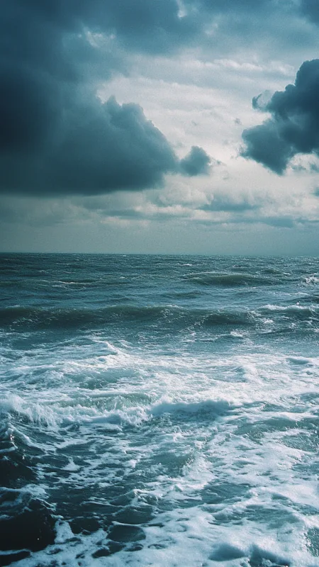 Sea Nature Wallpaper