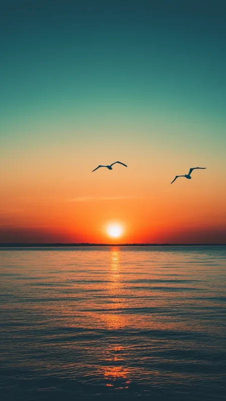 Sea Sunset HD Nature Wallpaper