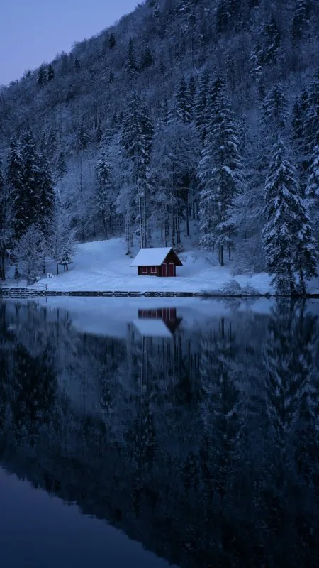 Snow Nature Wallpaper