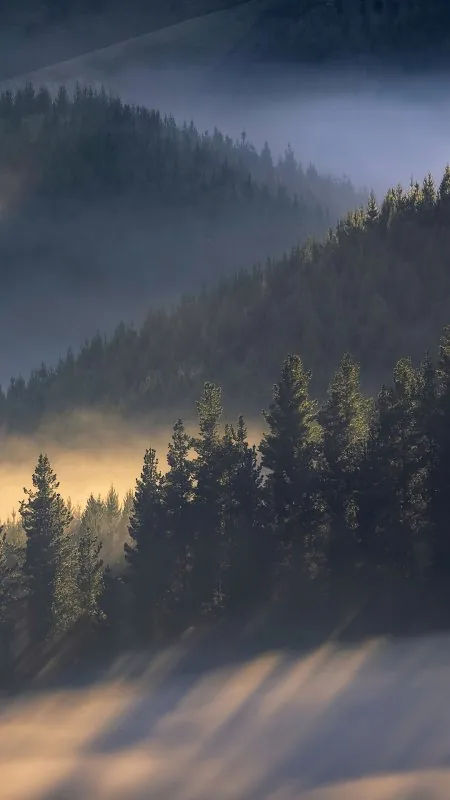 Sunbeams Through Misty Hills Nature Wallpaper